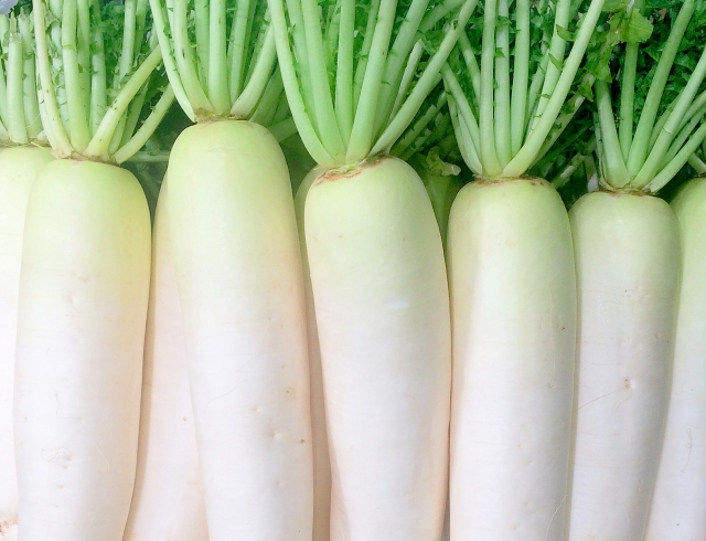 A picture shows Japanese grater, Oroshigane, and grated Japanese radish,  daikon-oroshi, in Tokyo on May