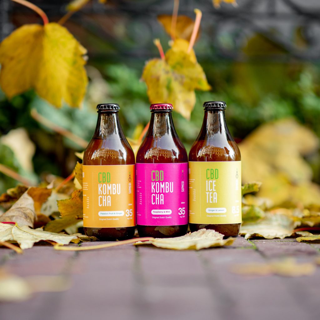 Green Tea Kombucha How To Make It At Home? BACKLANE